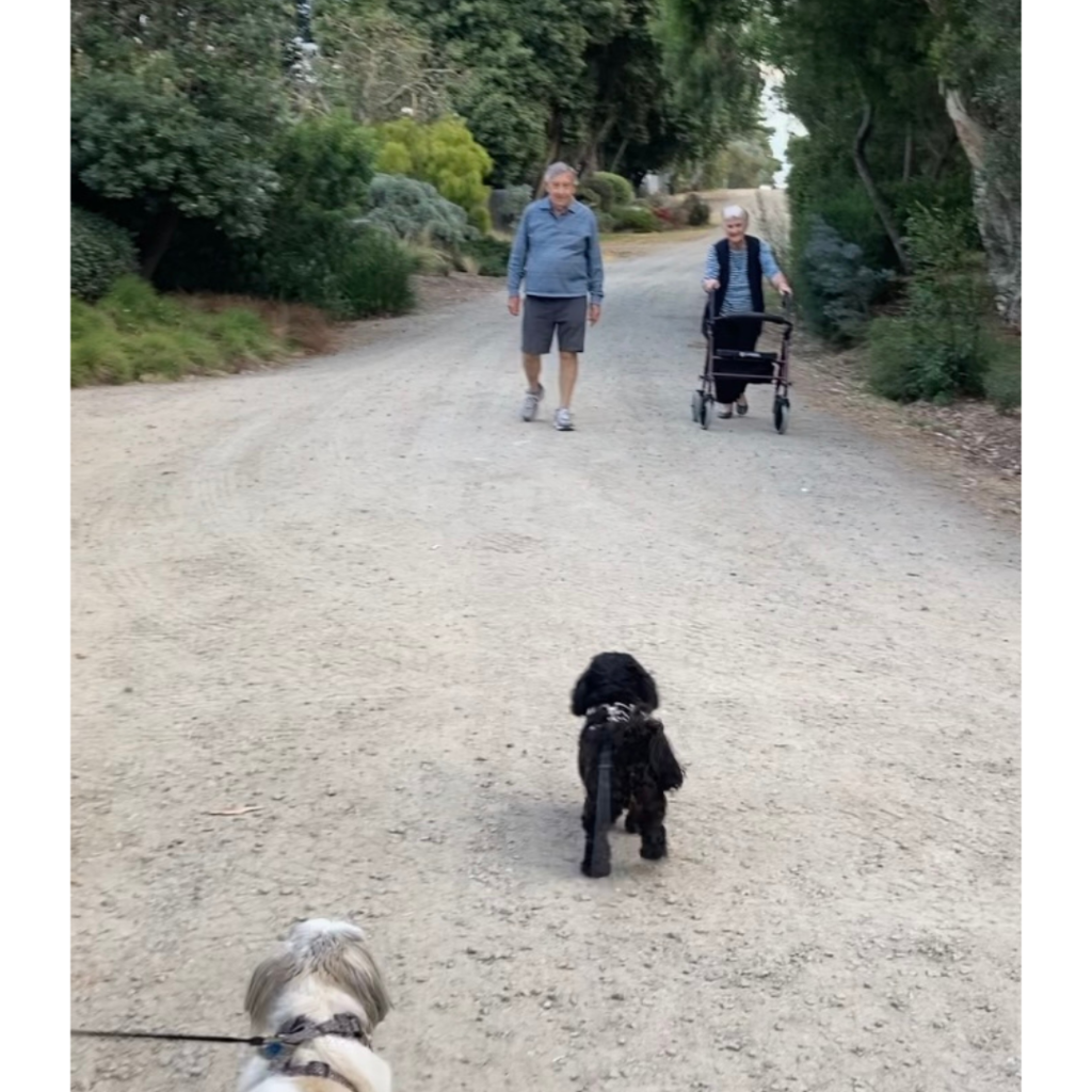 Elderly woman with walking frame, man and two dogs